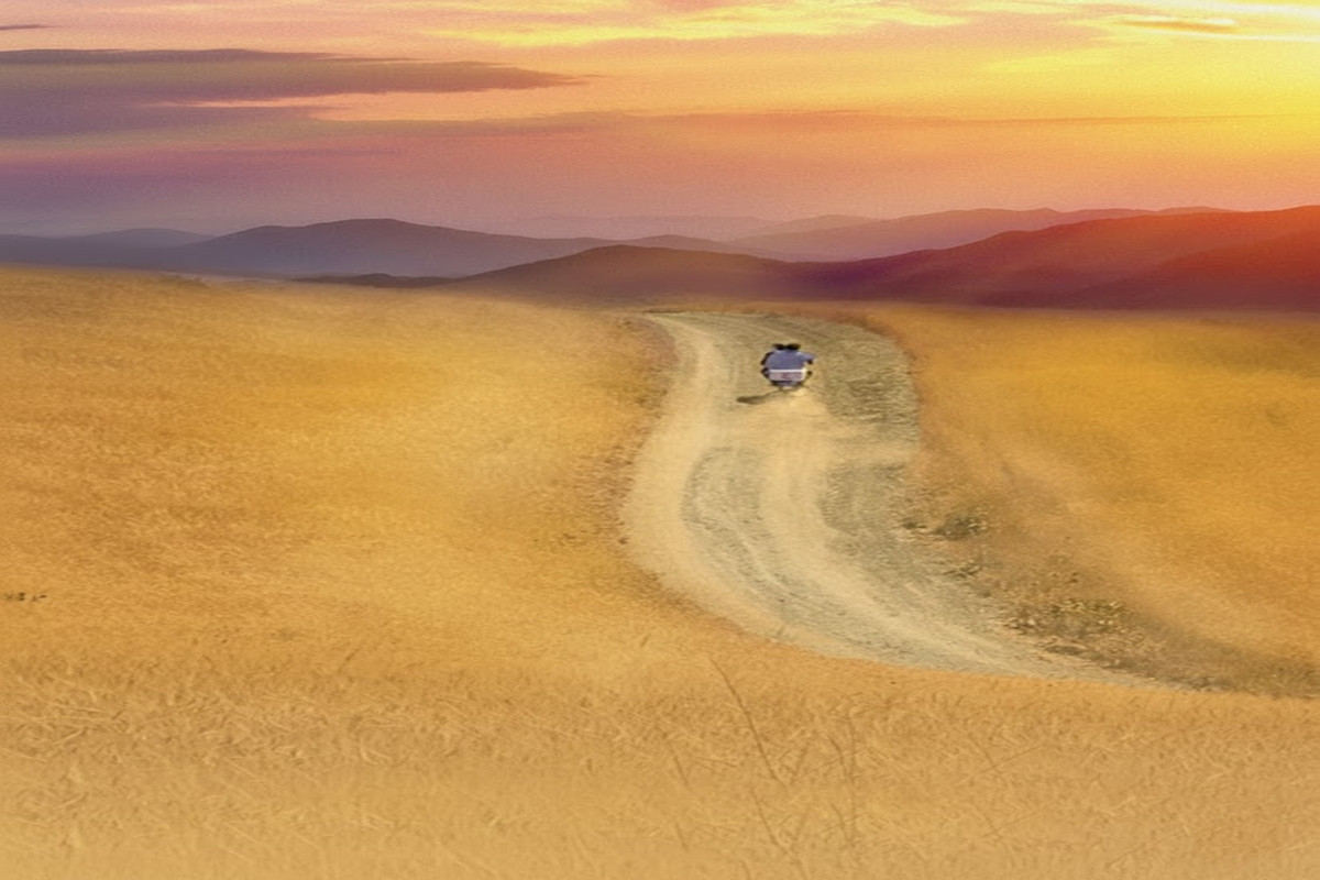 Rüzgar Bizi Sürükleyecek