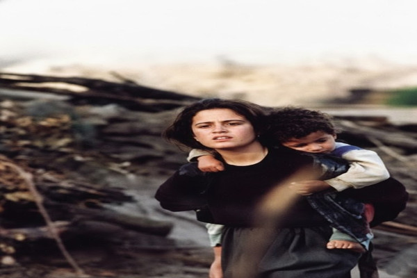 Kaplumbağalar Da Uçar