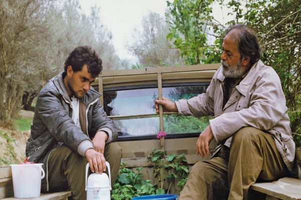 Zeytin Ağaçları Altında