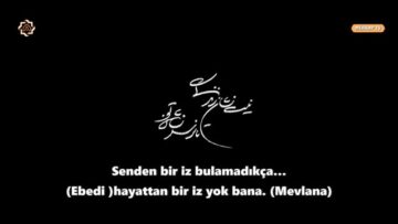 Hatun 8